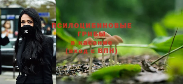 Альфа ПВП Горняк