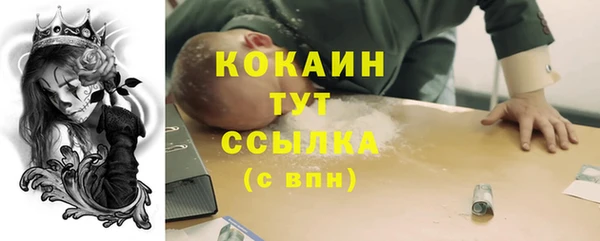 крисы Горно-Алтайск