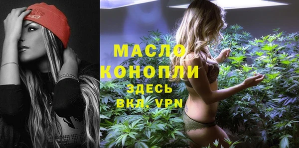 Альфа ПВП Горняк