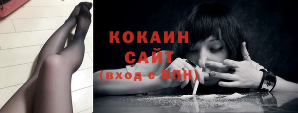 Альфа ПВП Горняк