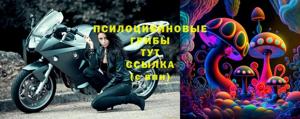 Альфа ПВП Горняк