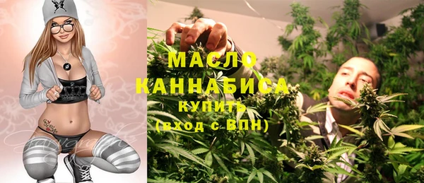 Альфа ПВП Горняк