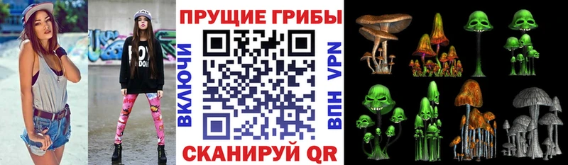 как найти наркотики  kraken   Галлюциногенные грибы прущие грибы  Ильский 